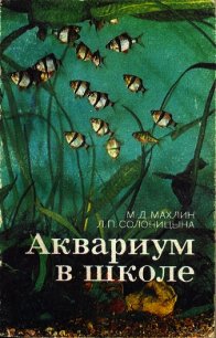 Аквариум в школе - Махлин Марк Давидович (читать полностью бесплатно хорошие книги txt) 📗