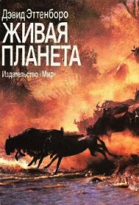 Живая планета - Эттенборо Дэвид (книги онлайн бесплатно .txt) 📗