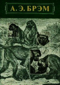 Жизнь животных Том I Млекопитающие - Брем Альфред Эдмунд (книги онлайн полностью .TXT) 📗