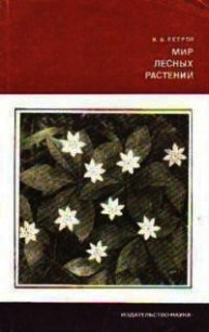 Мир лесных растений - Петров Владимир Владимирович (читать книги онлайн полностью без сокращений txt) 📗