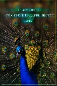 Что ответить дарвинисту? Часть II - Рухленко Илья (книги бесплатно TXT) 📗