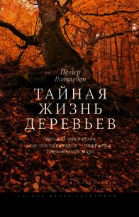 Тайная жизнь деревьев. Что они чувствуют, как они общаются – открытие сокровенного мира - Вольлебен Петер (книги онлайн полные .TXT) 📗