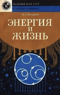 Энергия и жизнь - Печуркин Николай Савельевич (читаем книги онлайн бесплатно без регистрации .TXT) 📗