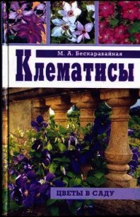 Клематисы - Бескаравайная Маргарита Алексеевна (читать книги бесплатно полные версии .txt) 📗