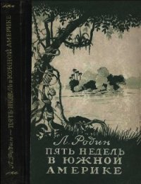 Пять недель в Южной Америке - Родин Леонид Ефимович (читать полностью бесплатно хорошие книги txt) 📗