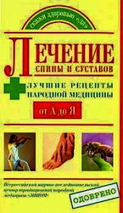 Лечение спины и суставов. Лучшие рецепты народной медицины от А до Я - Жабкин Денис Анатольевич (книги регистрация онлайн бесплатно .txt) 📗