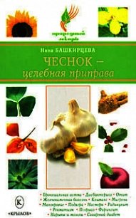 Чеснок – целебная приправа - Башкирцева Нина Анатольевна (книги читать бесплатно без регистрации полные TXT) 📗