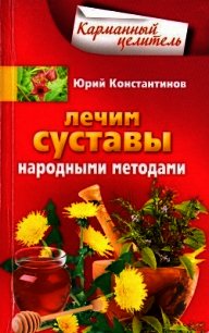 Лечим суставы народными методами - Константинов Юрий Михайлович (книги онлайн полные .TXT) 📗