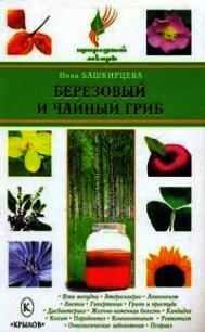 Березовый и чайный гриб - Башкирцева Нина Анатольевна (читать книги онлайн бесплатно полностью .TXT) 📗