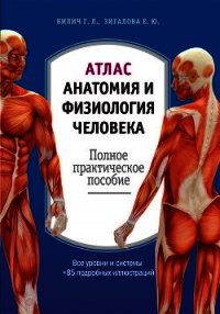 Атлас: анатомия и физиология человека. Полное практическое пособие - Зигалова Елена Юрьевна (мир бесплатных книг .TXT) 📗