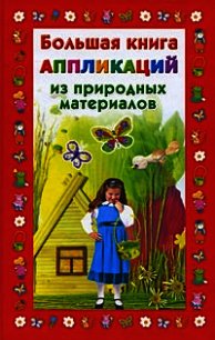 Большая книга аппликаций из природных материалов - Дубровская Наталия (книги серия книги читать бесплатно полностью TXT) 📗