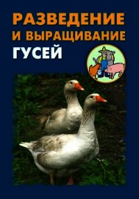 Разведение и выращивание гусей - Мельников Илья (лучшие книги читать онлайн бесплатно без регистрации .txt) 📗