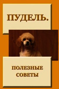 Пудель. Полезные советы - Мельников Илья (читаемые книги читать .TXT) 📗