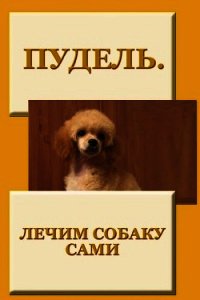 Пудель. Лечим собаку сами - Мельников Илья (книги онлайн полные .txt) 📗