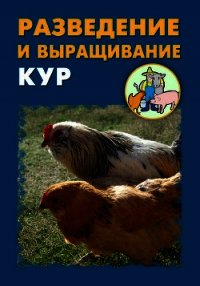 Разведение и выращивание кур - Мельников Илья (читать книги полные txt) 📗