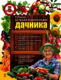 Большая энциклопедия дачника - Вечерина Елена Юрьевна (читаем бесплатно книги полностью TXT) 📗