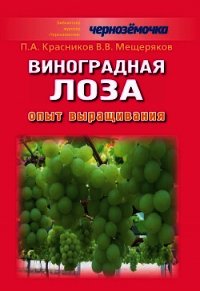 Виноградная лоза. Опыт выращивания - Красников Петр Алексеевич (книги серии онлайн .TXT) 📗