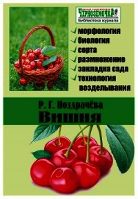 Вишня - Ноздрачева Р. Г. (онлайн книги бесплатно полные TXT) 📗