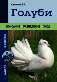 Голуби - Степнов Евгений Андреевич (онлайн книга без TXT) 📗