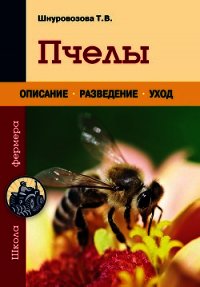 Пчелы - Шнуровозова Татьяна Владимировна (читать книги онлайн бесплатно полностью txt) 📗