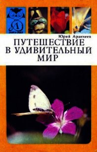Путешествие в удивительный мир - Аракчеев Юрий Сергеевич (лучшие книги читать онлайн .txt) 📗