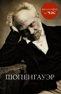 Шопенгауэр за 90 минут - Стретерн Пол (первая книга .TXT) 📗