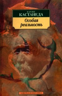 Особая реальность (перевод Останина и Пахомова) - Кастанеда Карлос (книги серия книги читать бесплатно полностью txt) 📗