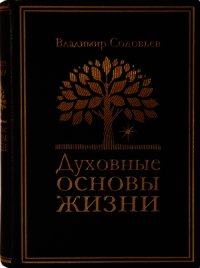 Духовные основы жизни - Соловьев Владимир Сергеевич (читаем книги txt) 📗