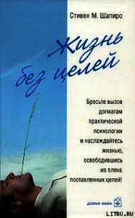 Жизнь без целей - Шапиро Стивен М. (мир книг .TXT) 📗