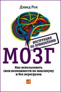 Мозг во сне. Что происходит с мозгом, пока мы спим - Рок Андреа (книги бесплатно без регистрации полные TXT) 📗