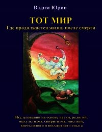 Тот Мир, Где продолжается жизнь после смерти (СИ) - Юрин Вадим Константинович (серии книг читать бесплатно .txt) 📗