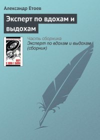 Эксперт по вдохам и выдохам - Етоев Александр Васильевич (книга читать онлайн бесплатно без регистрации txt) 📗