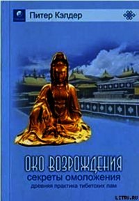 Око возрождения - Кэлдер Питер (онлайн книги бесплатно полные .txt) 📗