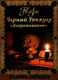 Таро. Черный гримуар «Некромикон» (СИ) - Невский Дмитрий Владимирович (книги онлайн полные версии .txt) 📗