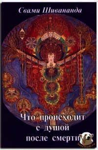 Что происходит с душой после смерти - Шивананда Свами Сарасвати (читать лучшие читаемые книги .TXT) 📗