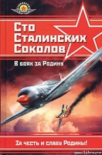 Сто сталинских соколов. В боях за Родину - Фалалеев Федор Яковлевич (читаем книги онлайн бесплатно полностью без сокращений .txt) 📗