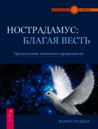 Нострадамус: благая весть. Предсказание известного прорицателя - Ридинг Марио (читаем полную версию книг бесплатно .TXT) 📗