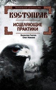 Костоправ. Исцеляющие практики - Гнатюк Валентин Сергеевич (читать книги без регистрации txt) 📗