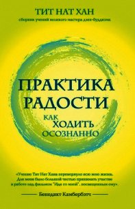 Практика радости. Как ходить осознанно - Хан Тит (книги бесплатно без TXT) 📗