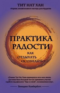 Практика радости. Как отдыхать осознанно - Хан Тит (читать книги без регистрации TXT) 📗