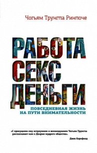 Работа, секс, деньги. Повседневная жизнь на пути внимательности - Ринпоче Чогьям (читать книги полностью TXT) 📗