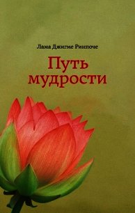 Путь мудрости - Ринпоче Джигме (книги онлайн бесплатно серия .TXT) 📗