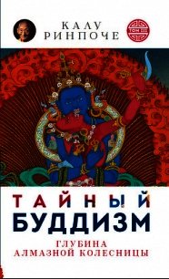 Тайный буддизм. Том III. Глубина Алмазной колесницы - Ринпоче Калу (читать книги онлайн без регистрации txt) 📗