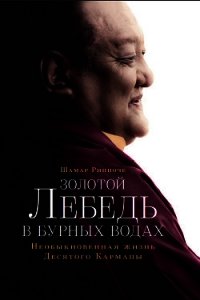 Золотой лебедь в бурных водах. Необыкновенная жизнь Десятого Кармапы - Ринпоче Шамар (читать книги онлайн полные версии txt) 📗