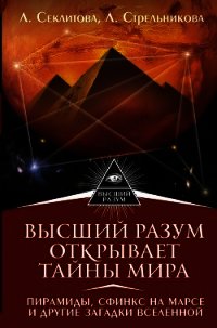 Высший Разум открывает тайны мира. Пирамиды, сфинкс на Марсе и другие загадки Вселенной - Секлитова Лариса (читать книги без .TXT) 📗