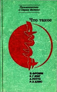 Что такое дзэн? - Блис Реджинальд Хорас (читать полностью книгу без регистрации .txt) 📗