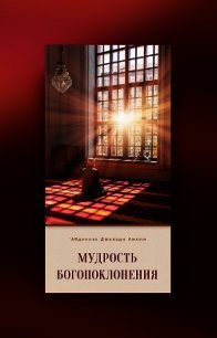 Мудрость богопоклонения - Амоли ‘Абдаллах Джавади (читать книгу онлайн бесплатно полностью без регистрации .txt) 📗