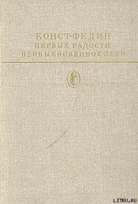 Необыкновенное лето - Федин Константин Александрович (читать книги онлайн полностью без регистрации TXT) 📗