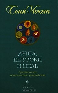 Душа, ее уроки и цель. Практическое ченнелинговое руководство - Чокет Соня (книги хорошем качестве бесплатно без регистрации txt) 📗