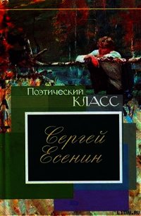 Стихотворения, поэмы - Есенин Сергей Александрович (библиотека книг бесплатно без регистрации .txt) 📗